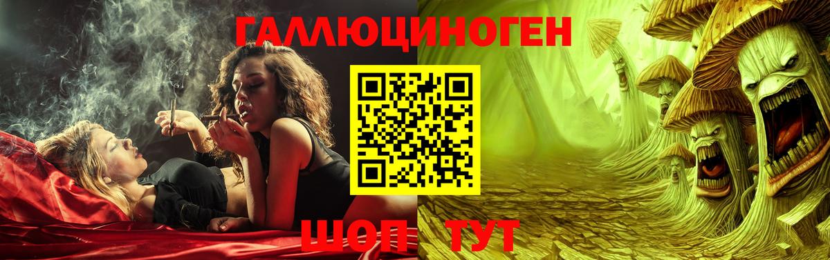 Галлюциногенные грибы GOLDEN TEACHER  Вход с VPN  Гусев  Псилоцибиновые грибы Magic Shrooms 